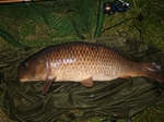 The depressing side of modern carp fishing