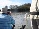 Canadian Fishing - Harrison and Vancouver Island