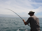 Caught Up - And All At Sea Caught Up - And All At Sea