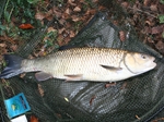 Fishing the River Test in Dave's Garden