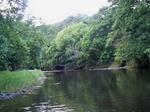 Fishing The Torridge