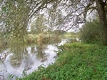 On The Hampshire Avon