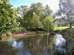 On the Bristol Avon