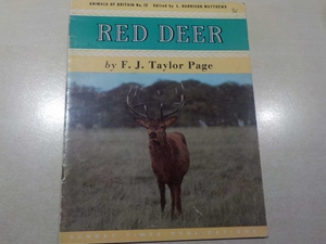 Red Deer