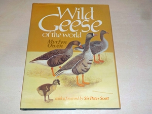 Wild Geese of the World