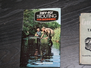 Dry-Fly Trouting for Beginners