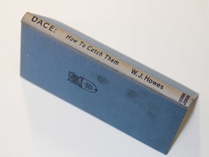 Dace : How to Catch Them