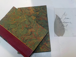 Willow Pitch (complete with a leaf from Redmire Pool) (Signed Copy)