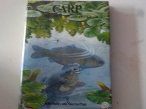 Carp: The Quest for the Queen