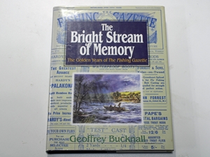 The Bright Stream of Memory
