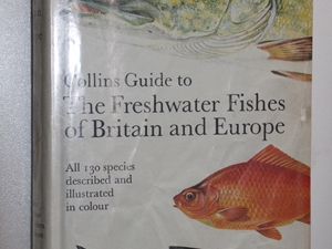 Freshwater fish of Britain and Europe
