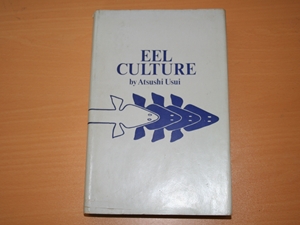 Eel Culture