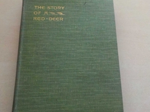 The Story of a Red Deer