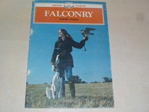 Falconry